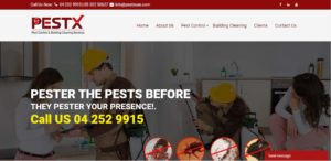 PestX's Homepage