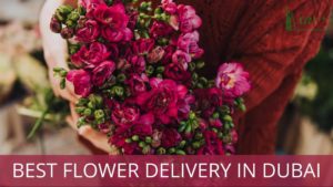 Best Flower Delivery in Dubai