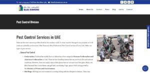 Blue Diamond General Maintenance LLC