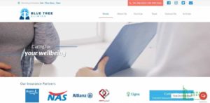 Blue Tree Clinics' Homepage