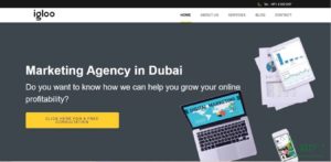 Igloo's Homepage