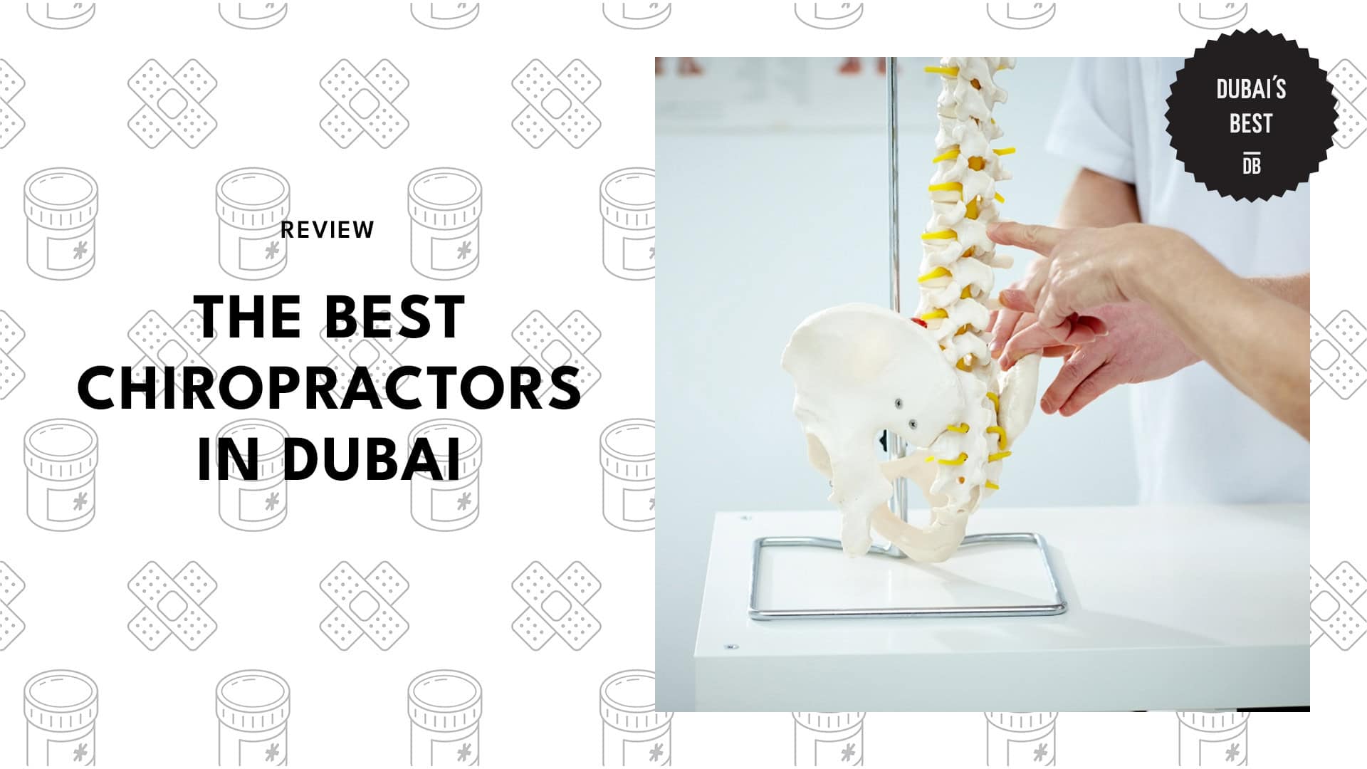 Best Chiropractors