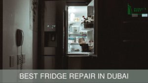Best Fridge Repair in Dubai