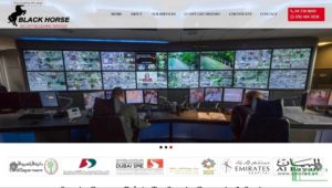 Black Horse Security & Cleaning's Homepage