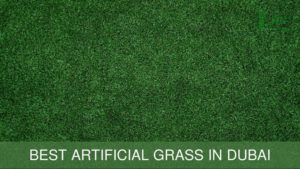 Best Artificial Grass in Dubai