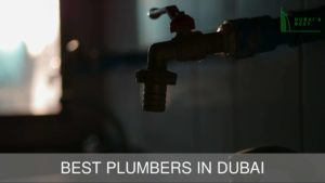Best Plumbers in Dubai
