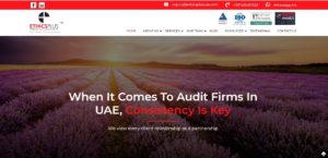 Ethics Plus Public Accountants' Homepage