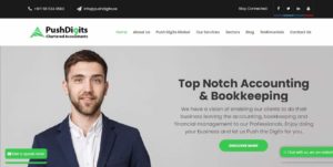 Push Digits Global Chartered Accountants' Homepage