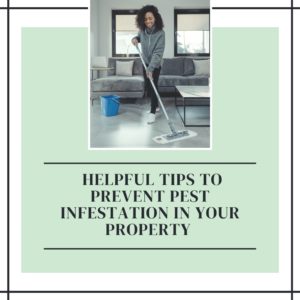 Helpful Tips to Prevent Pest Infestation In Your Property