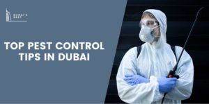 Top Pests Control Tips Dubai