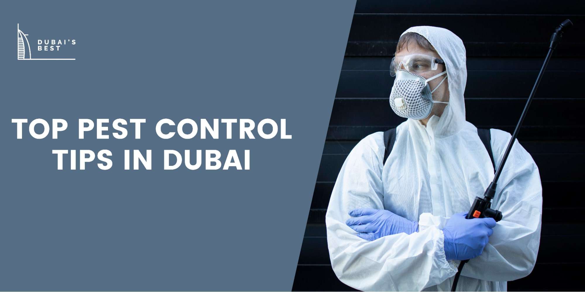 Top Pests Control Tips Dubai