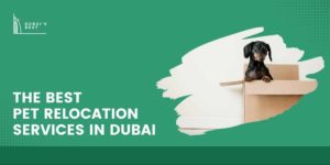 Top 5 Places for Pet Relocation in Dubai