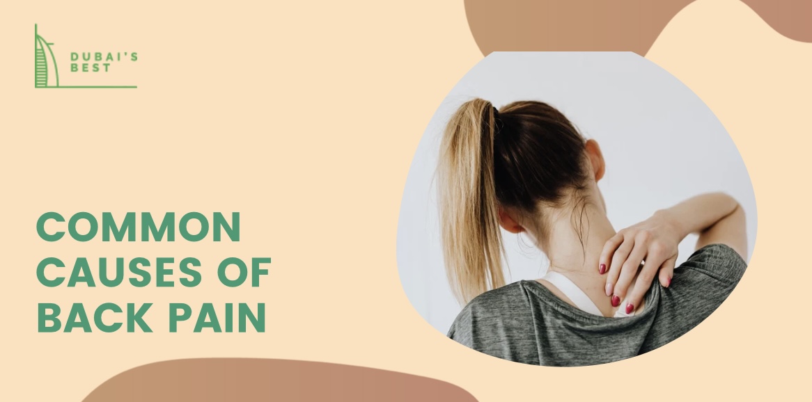 What are the common causes of back pain