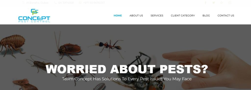 Concept View Pest Control 's Homepage