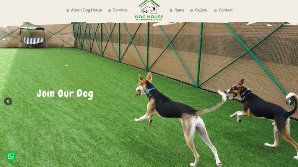 Dog border hot sale near me