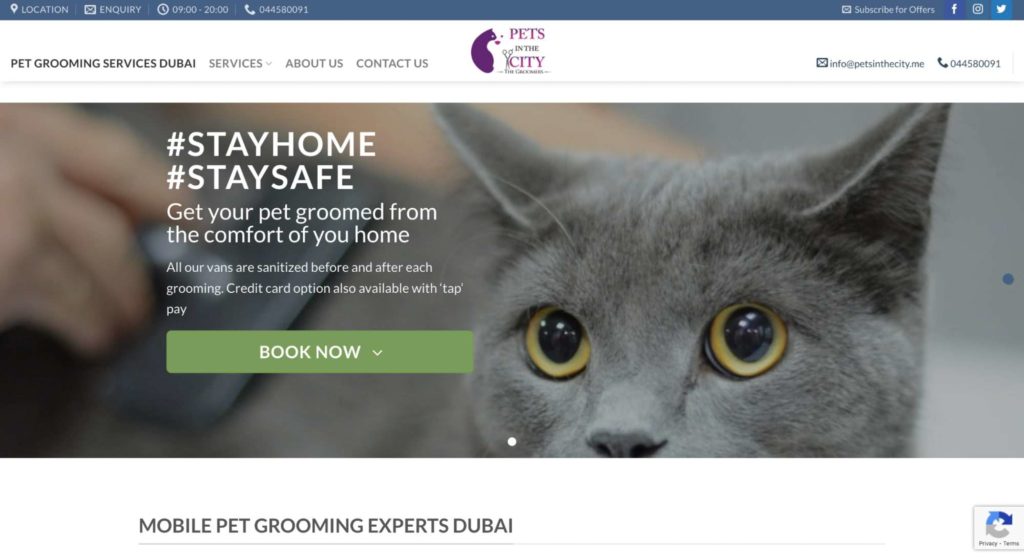 Pets In The City's Homepage