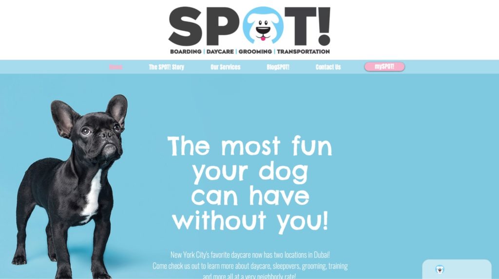 Spot!'s Homepage