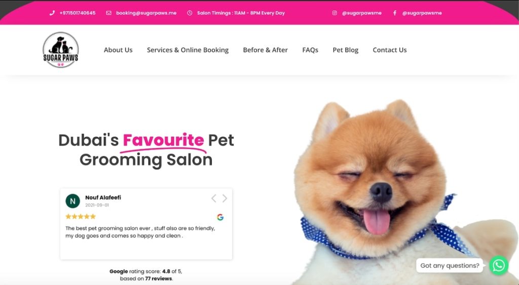 Dog grooming best sale places near me