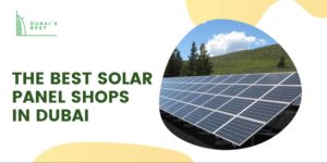 The 5 Best Solar Panel Shops in Dubai