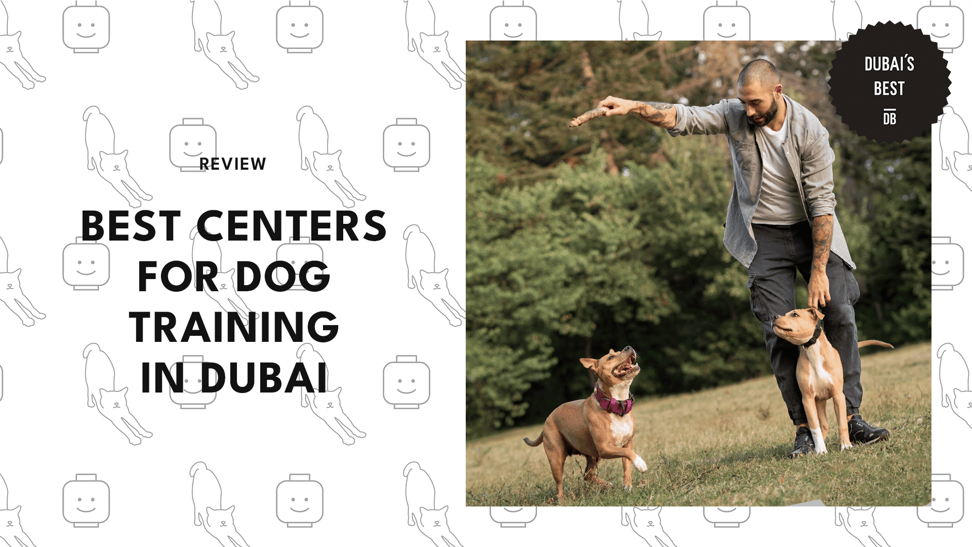 centers-for-dog-training-in-dubai