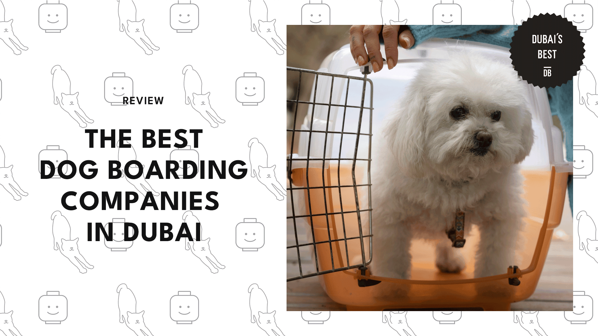 dog-boarding-companies-in-dubai