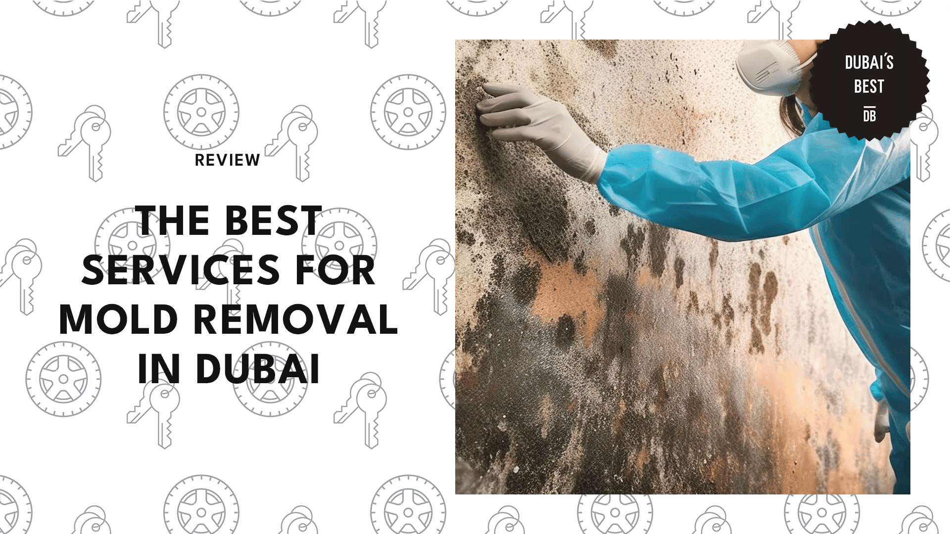 mold-removal