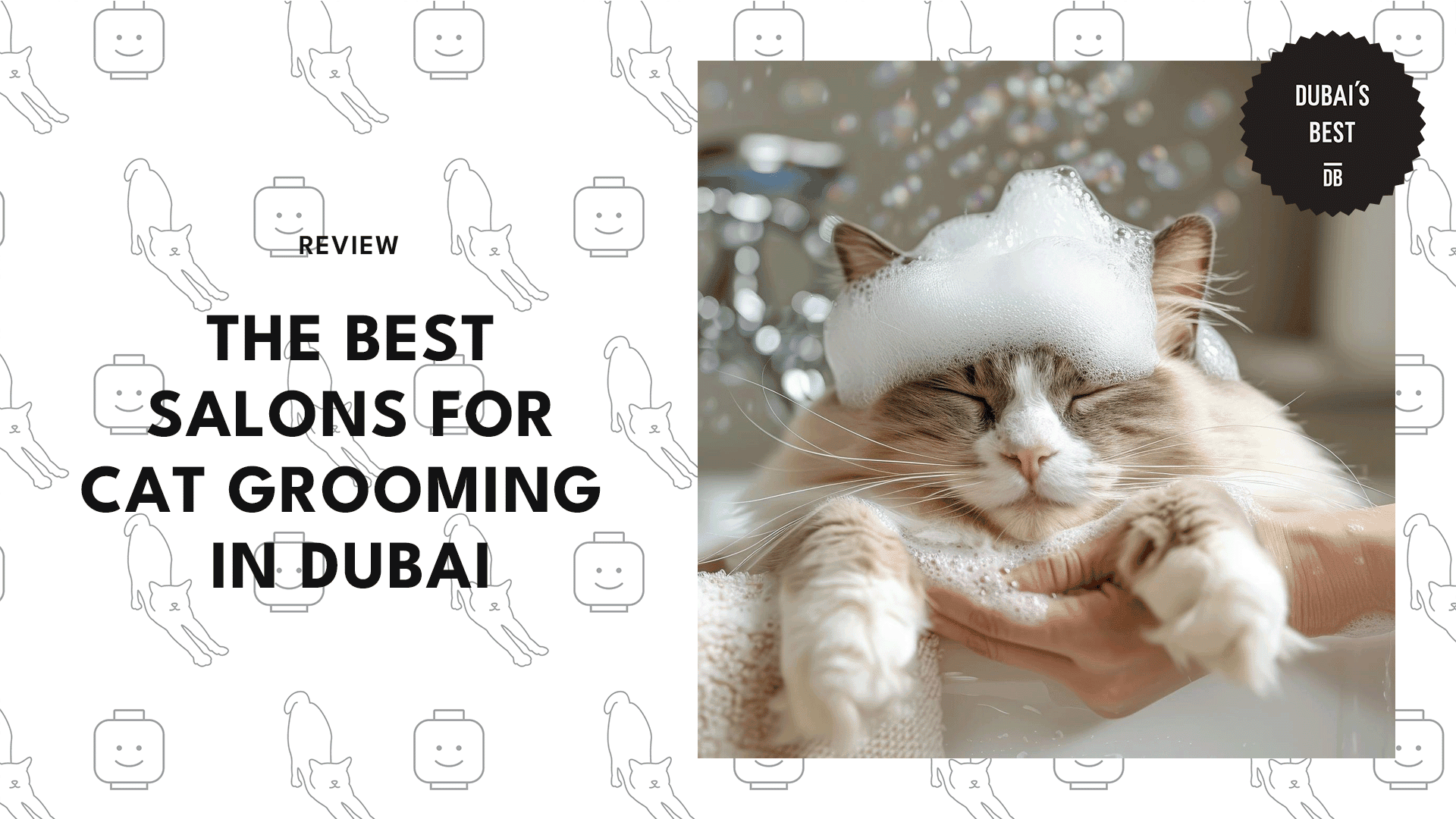 salons-for-cat-grooming-in-dubai