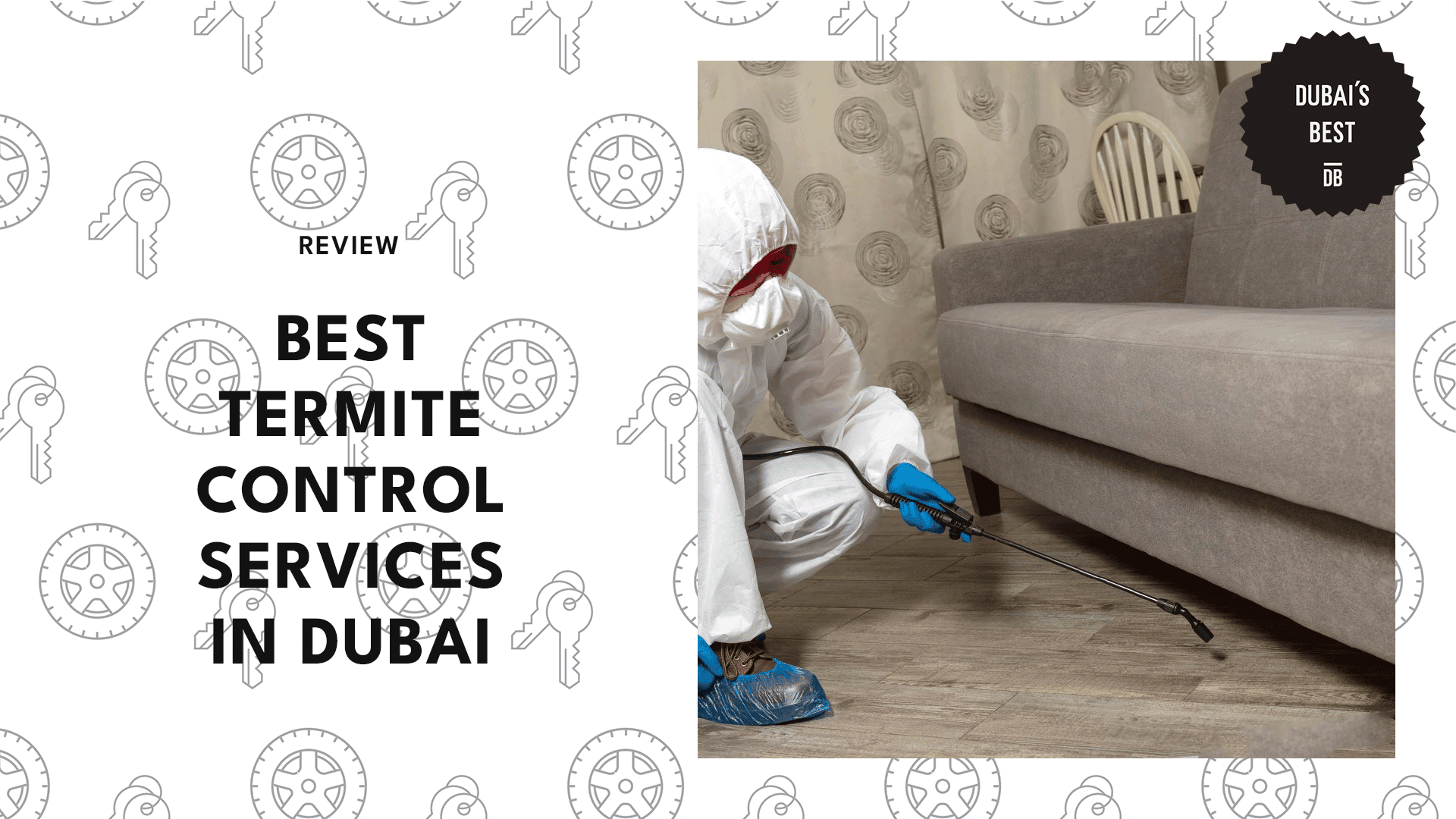 termite-control-services-in-dubai