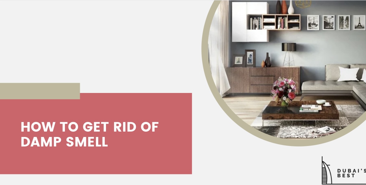 How to Get Rid of Damp Smell