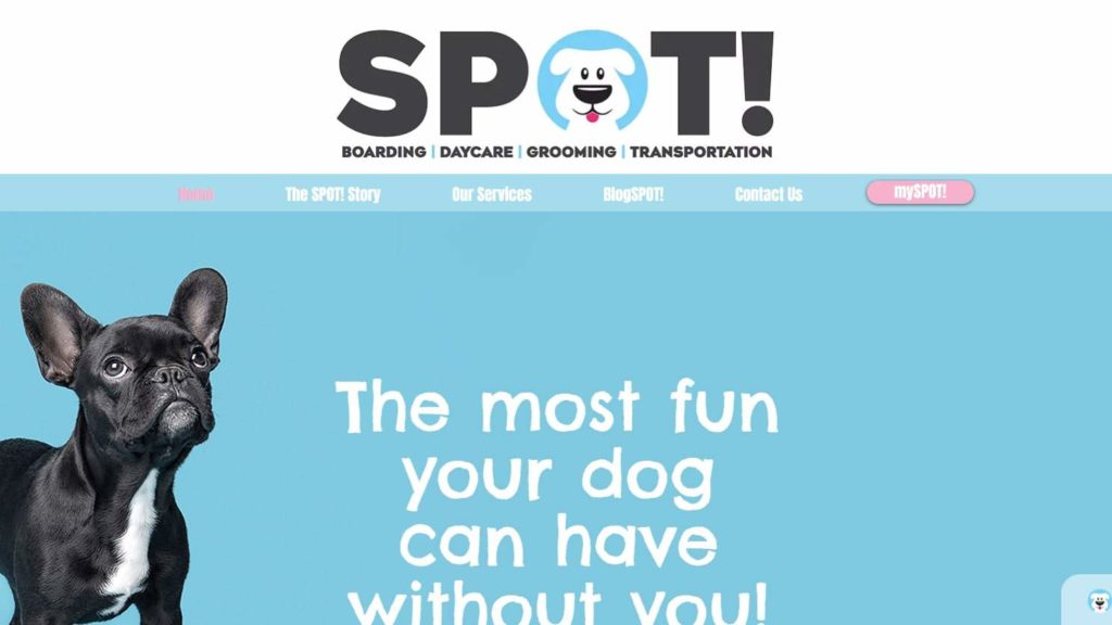 SPOT! Homepage
