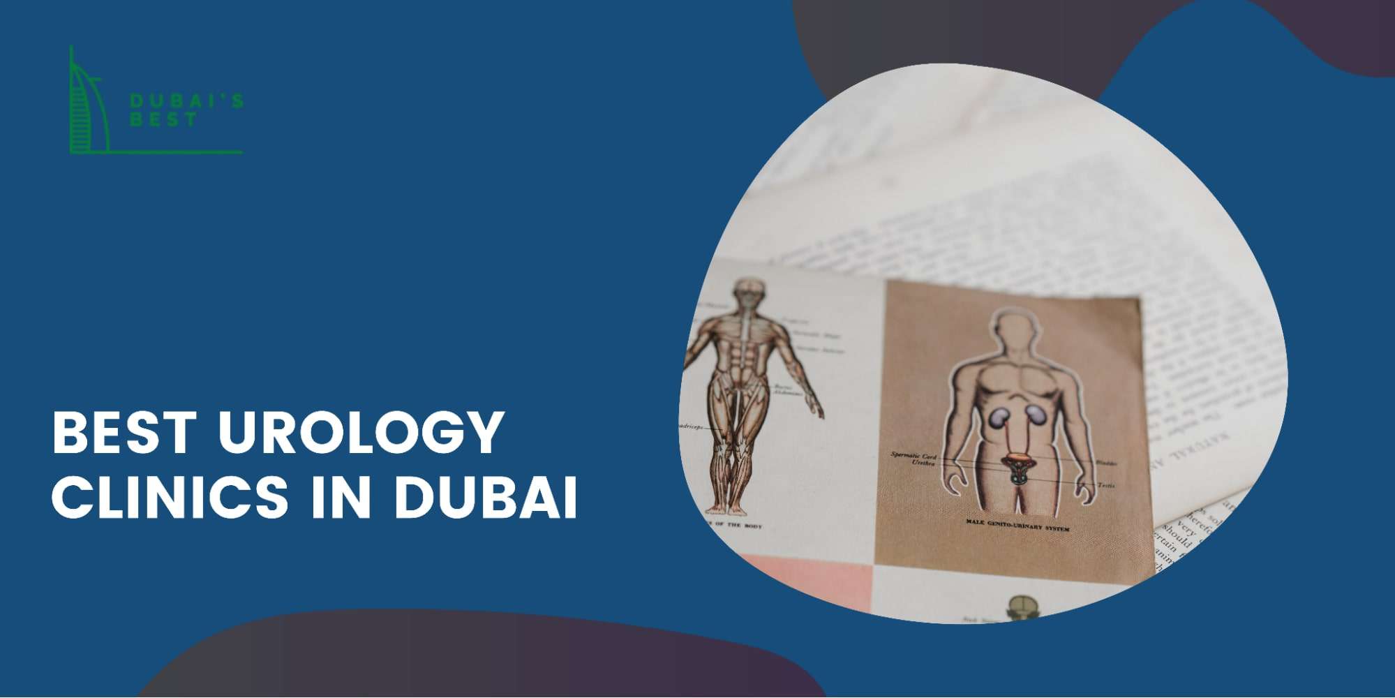 The 5 Best Urology Clinics in Dubai