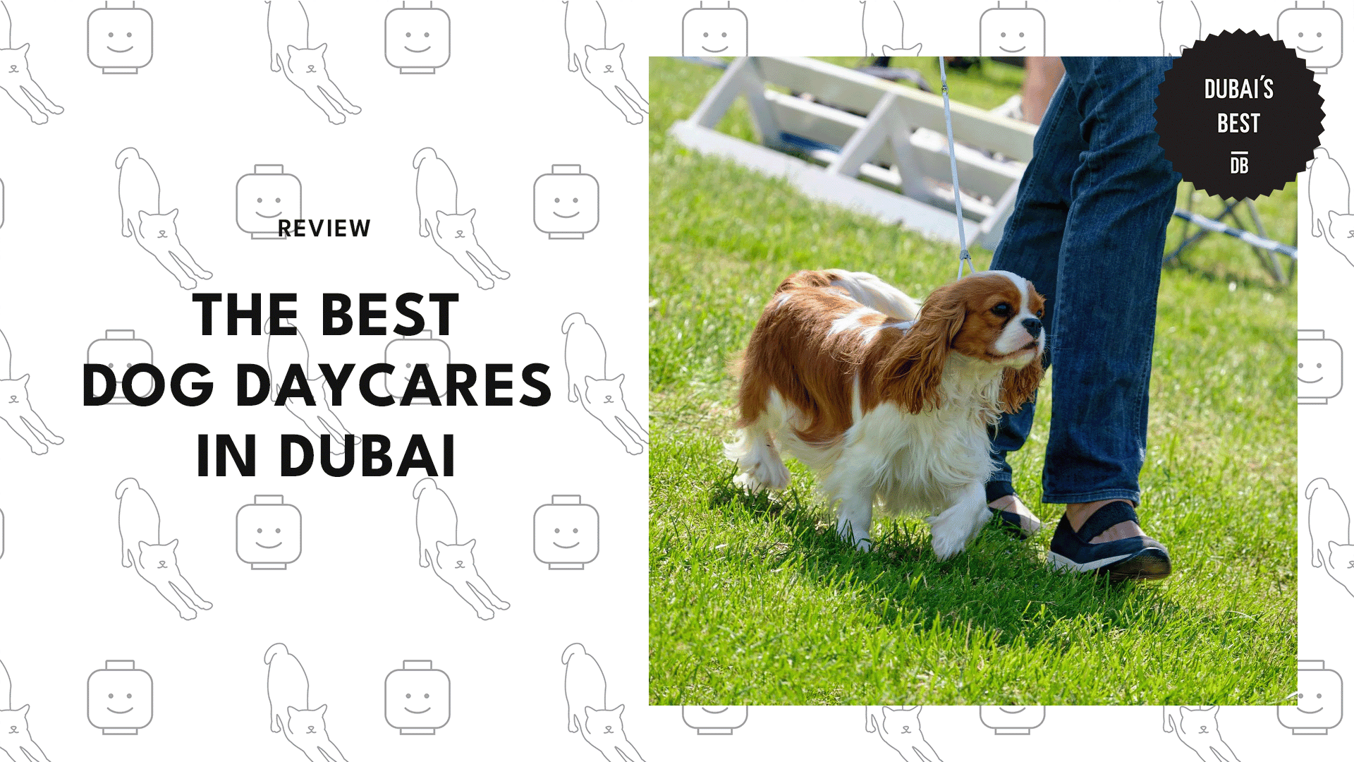 dog-daycares-in-dubai