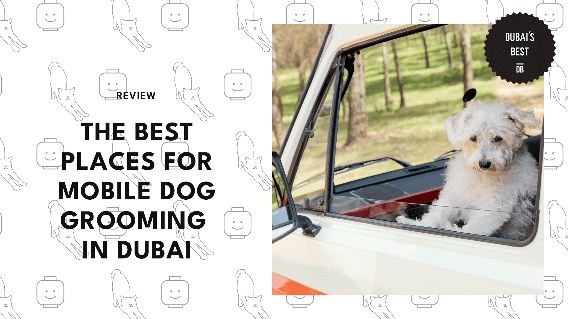 mobile-dog-grooming-in-dubai