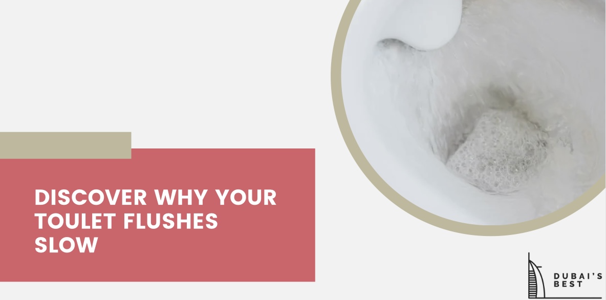 Discover Why Your Toilet Flushes Slow