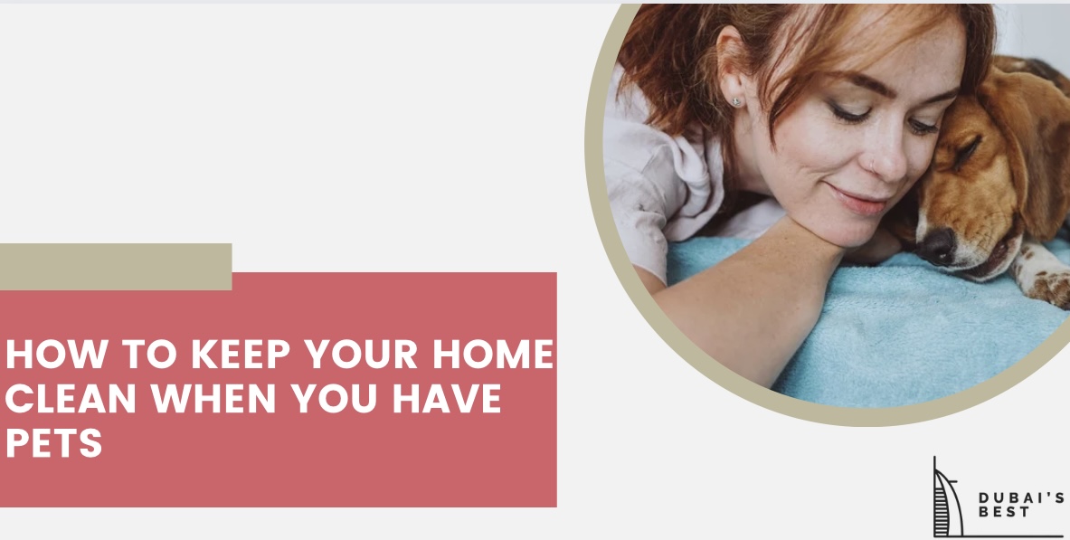 How to Keep Your Home Clean When You Have Pets