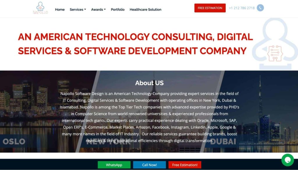 Napollo Software Design Homepage_1