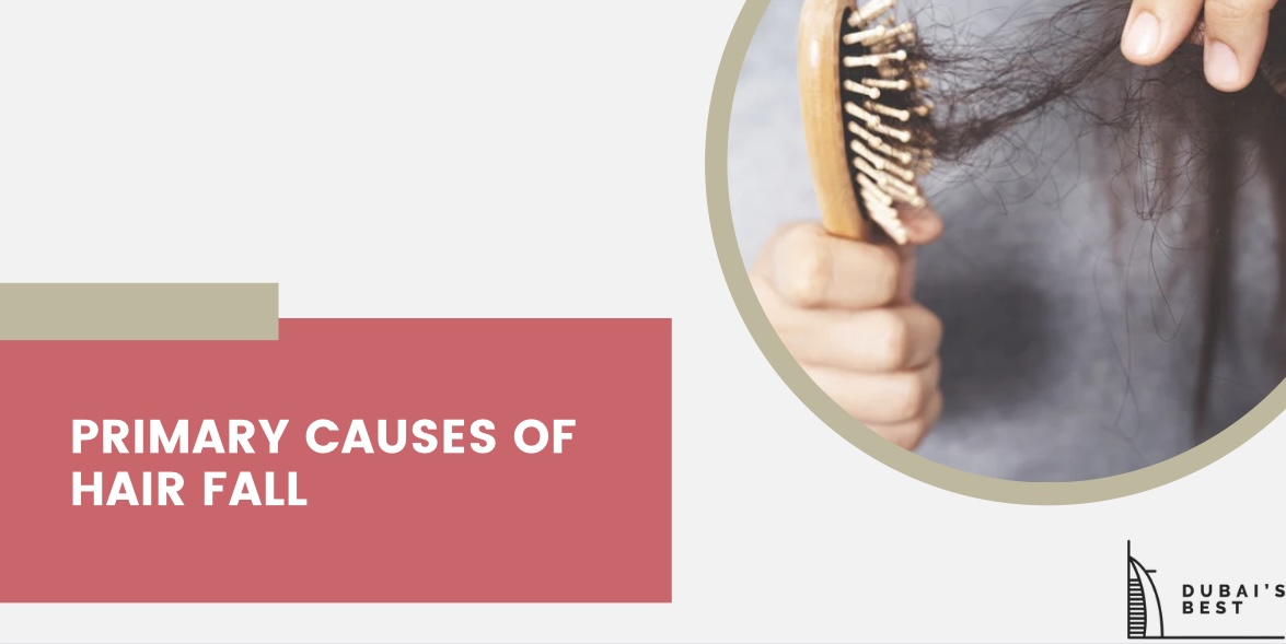 Primary Causes of Hair Fall