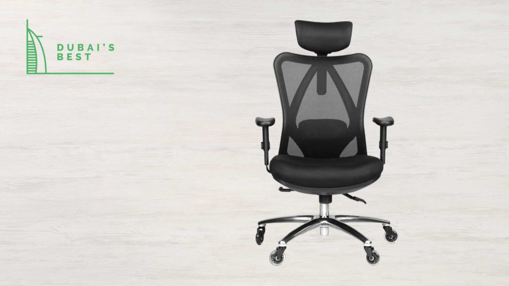 Duramont Ergonomic Chair