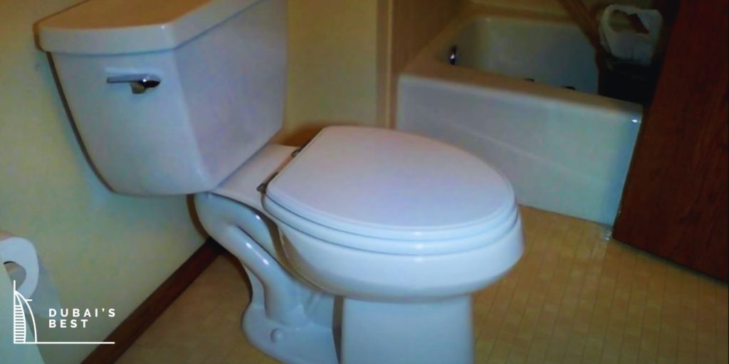 Kohler K-3505-96 Woolworth Classic Pressure Lite Elongated 1.4 gpf Toilet