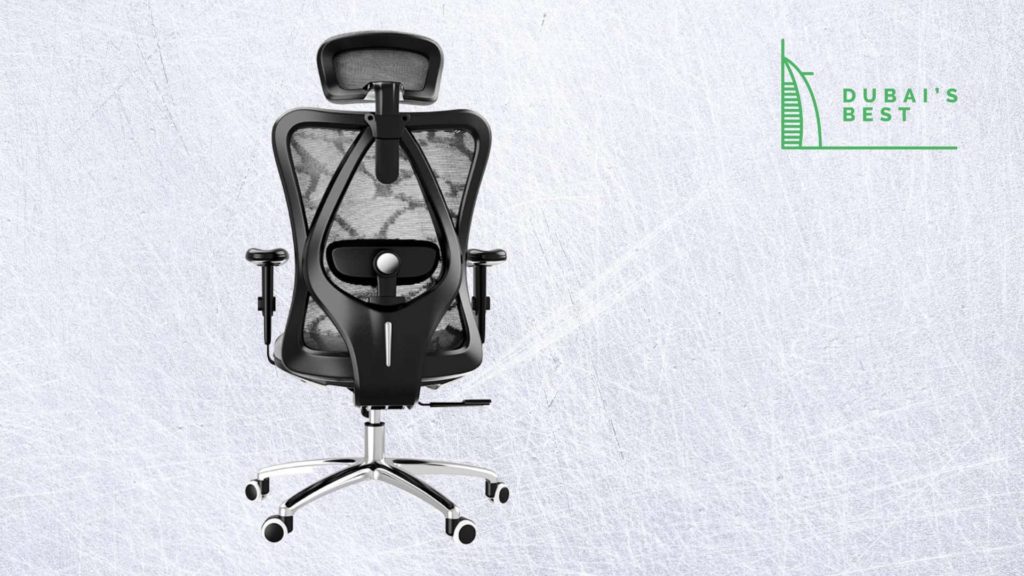 Sihoo Ergonomic Office Chair