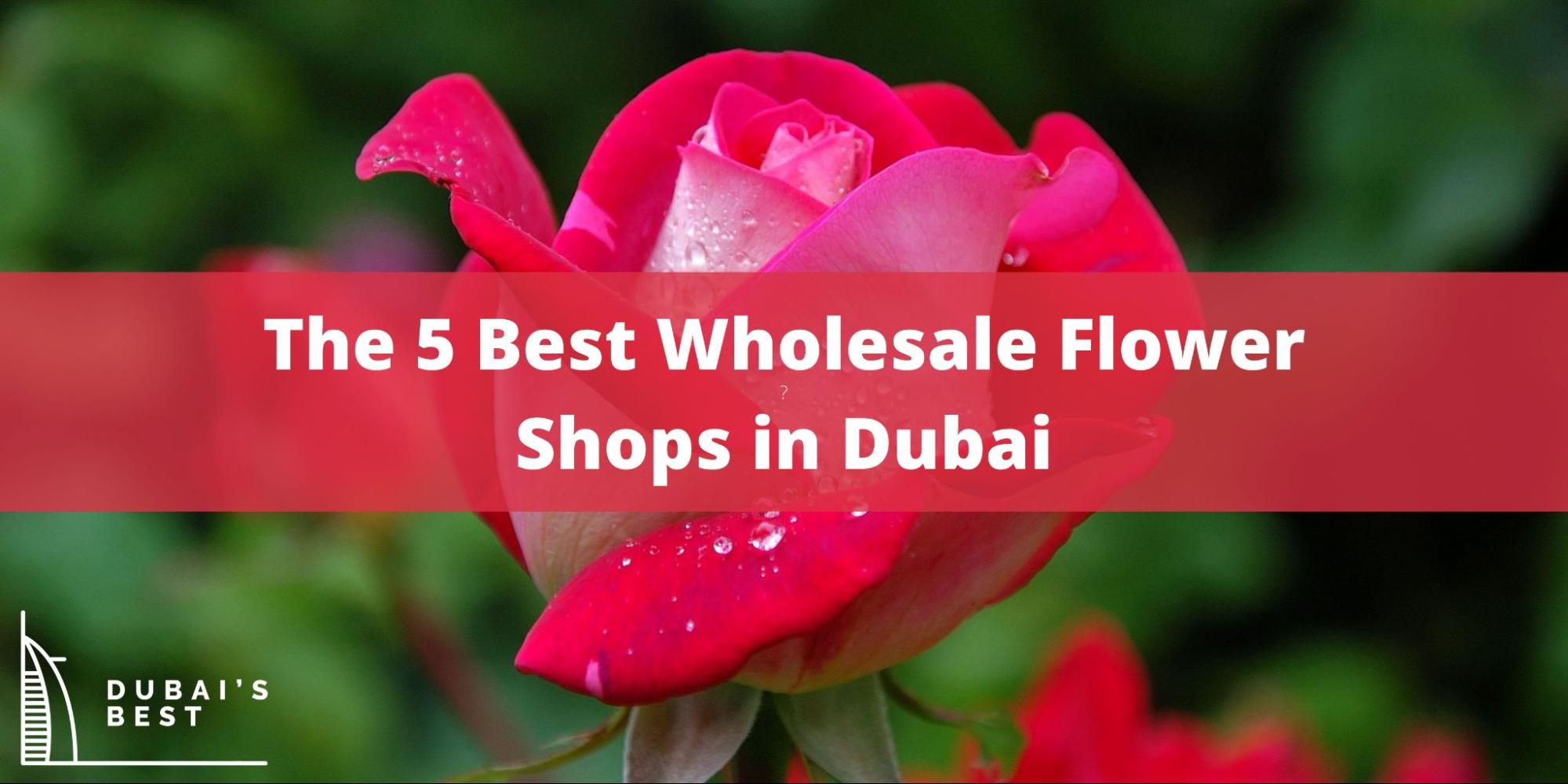 The 5 Best Wholesale Flower Shops in Dubai