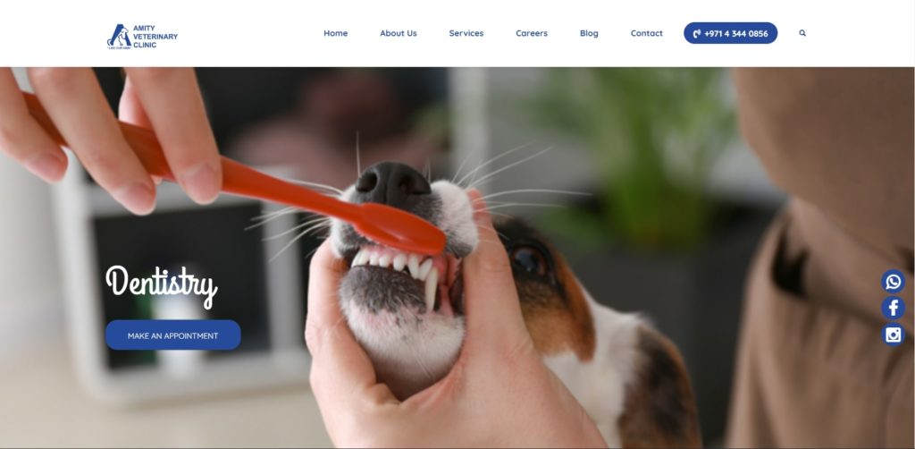 Amity Veterinary Clinic's Homepage