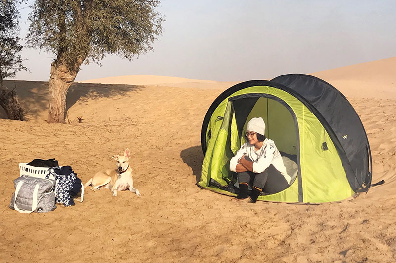 Go Camping