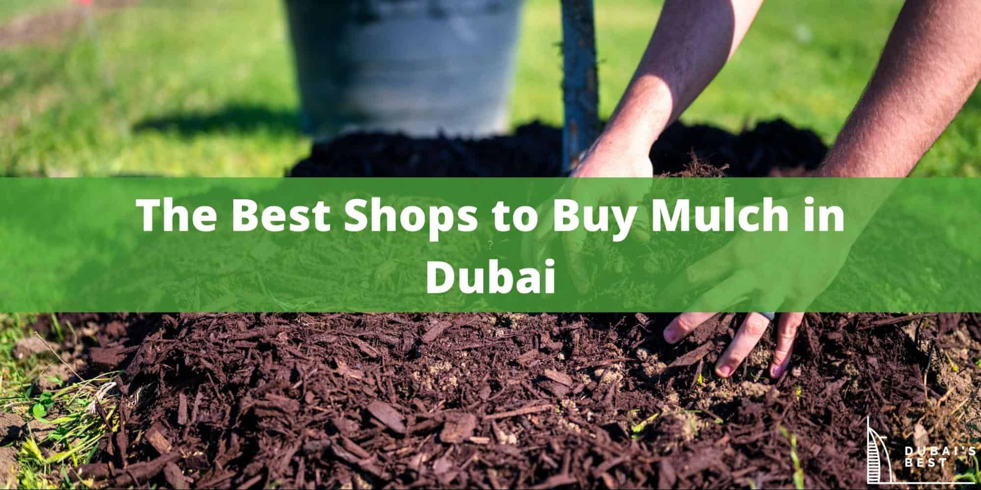 5 Best Shops to Buy Mulch in Dubai