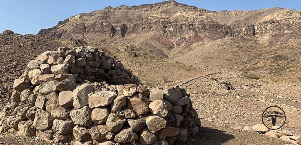 Dubai Was Once a Mangrove Swamp