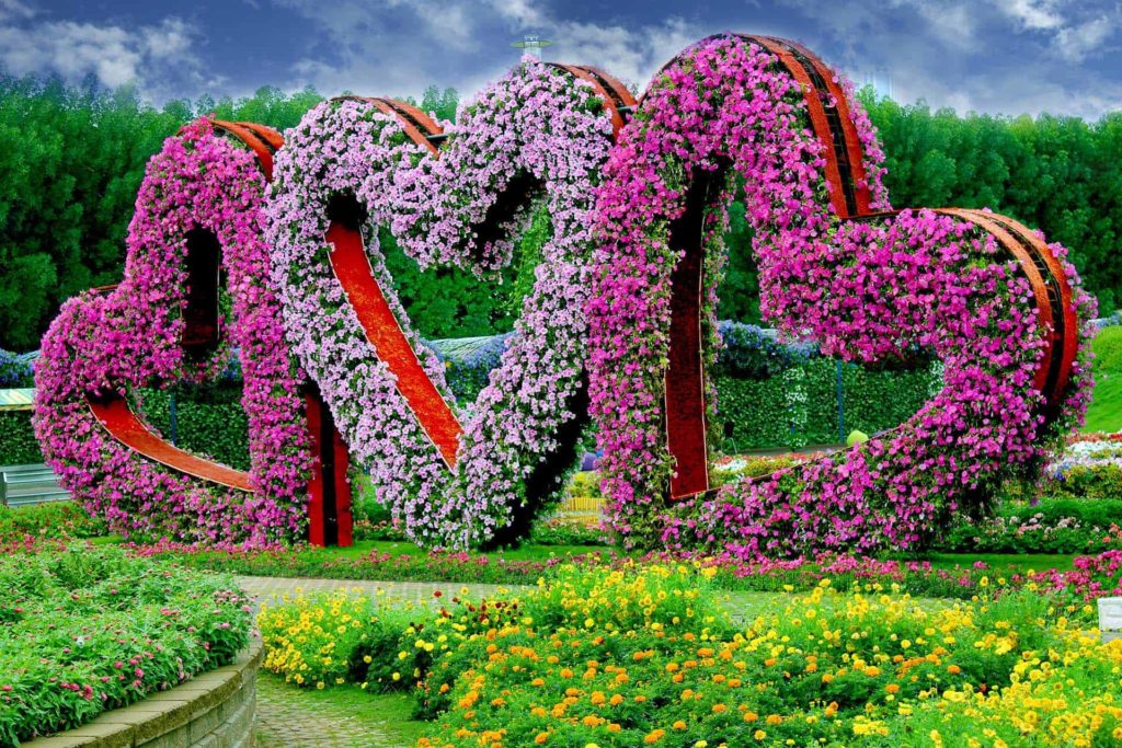 Find the Perfect Spot at Dubai Miracle Garden