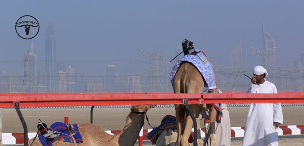Robot Jockeys Help Prevent Child Trafficking Cases in Dubai’s Camel Races