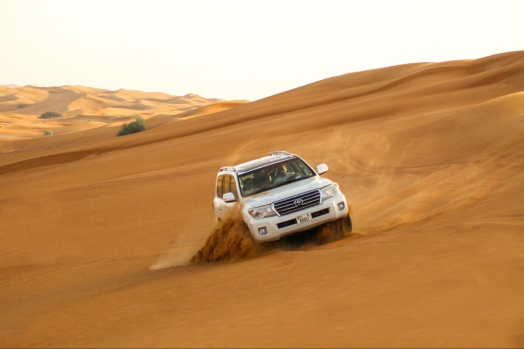 Spend a Day at a Desert Safari