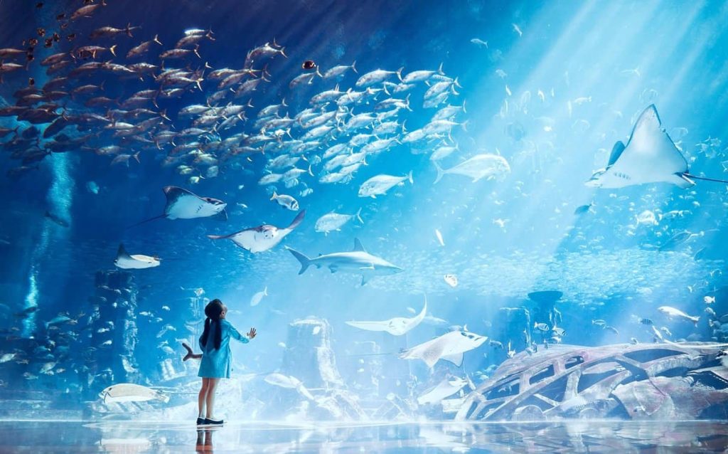 Top Attractions at Atlantis The Palm