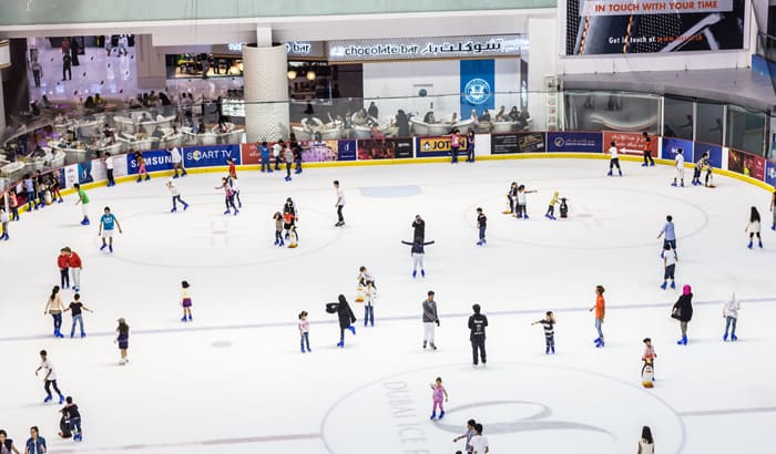 Top Attractions in The Dubai Mall